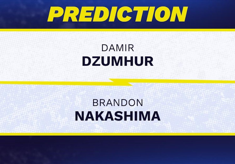 Damir Dzumhur vs Brandon Nakashima Tennis Prediction.