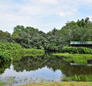 Visit Sungei Buloh, A Wetland Reserve's gallery image