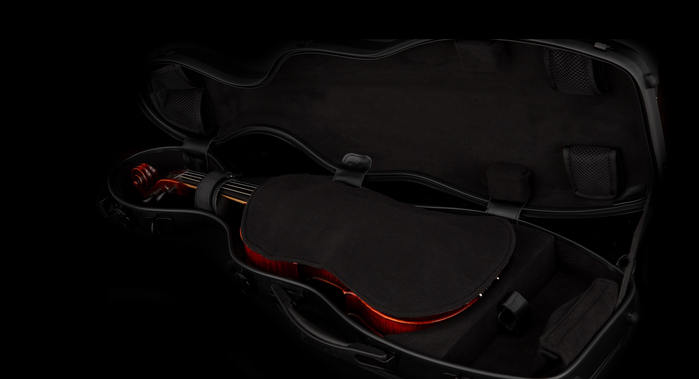 Eastman - Violin - Cases