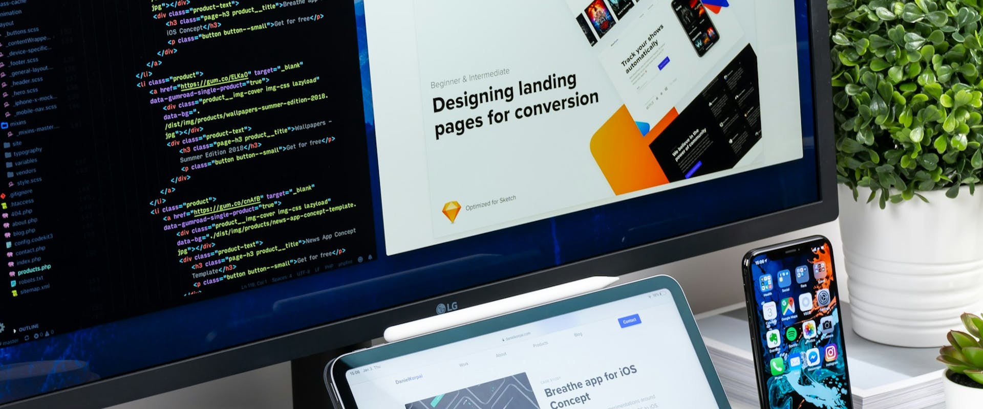 Web Design & Development