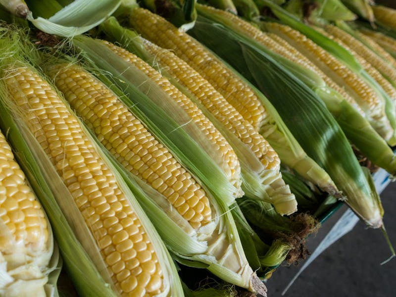 Maize