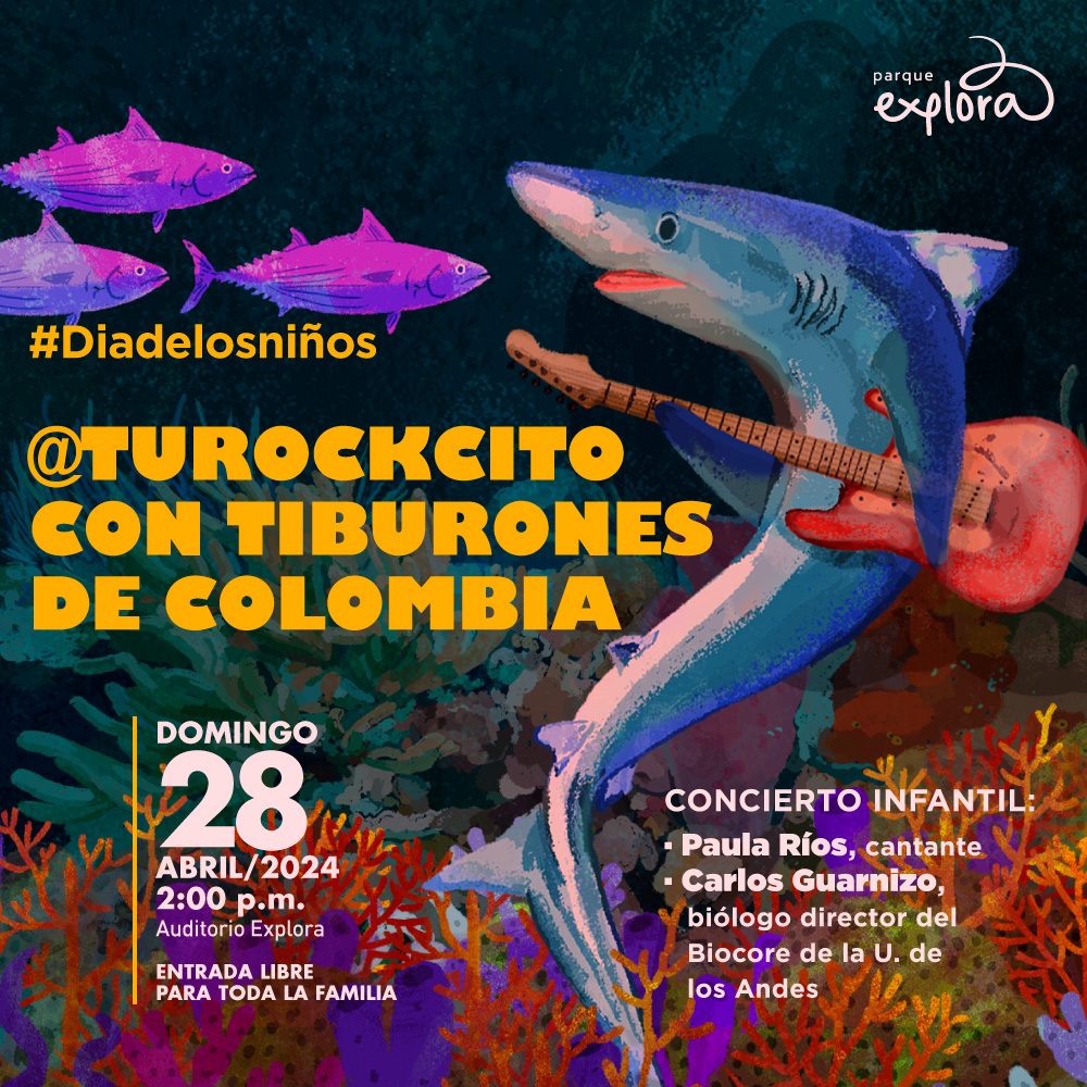 Ilustración. Sobre un fondo de corales aparece en la parte derecha de la imagen un tiburón que sostiene entre ambas aletas una guitarra eléctrica. Junto a él, mucho más pequeños, tres peces morados. En la parte inferior de la imagen texto que dice: "#DíaDeLosNiños @turockcito con tiburones de Colombia. Domingo 28 de abril de 2024 a las 2 de la tarde. Auditorios Explora. Entrada libre para toda la familia. Concierto infantil. Paula Ríos, cantante. Carlos Guarnizo, biólogo director del Biocore de la Universidad de Los Andes".