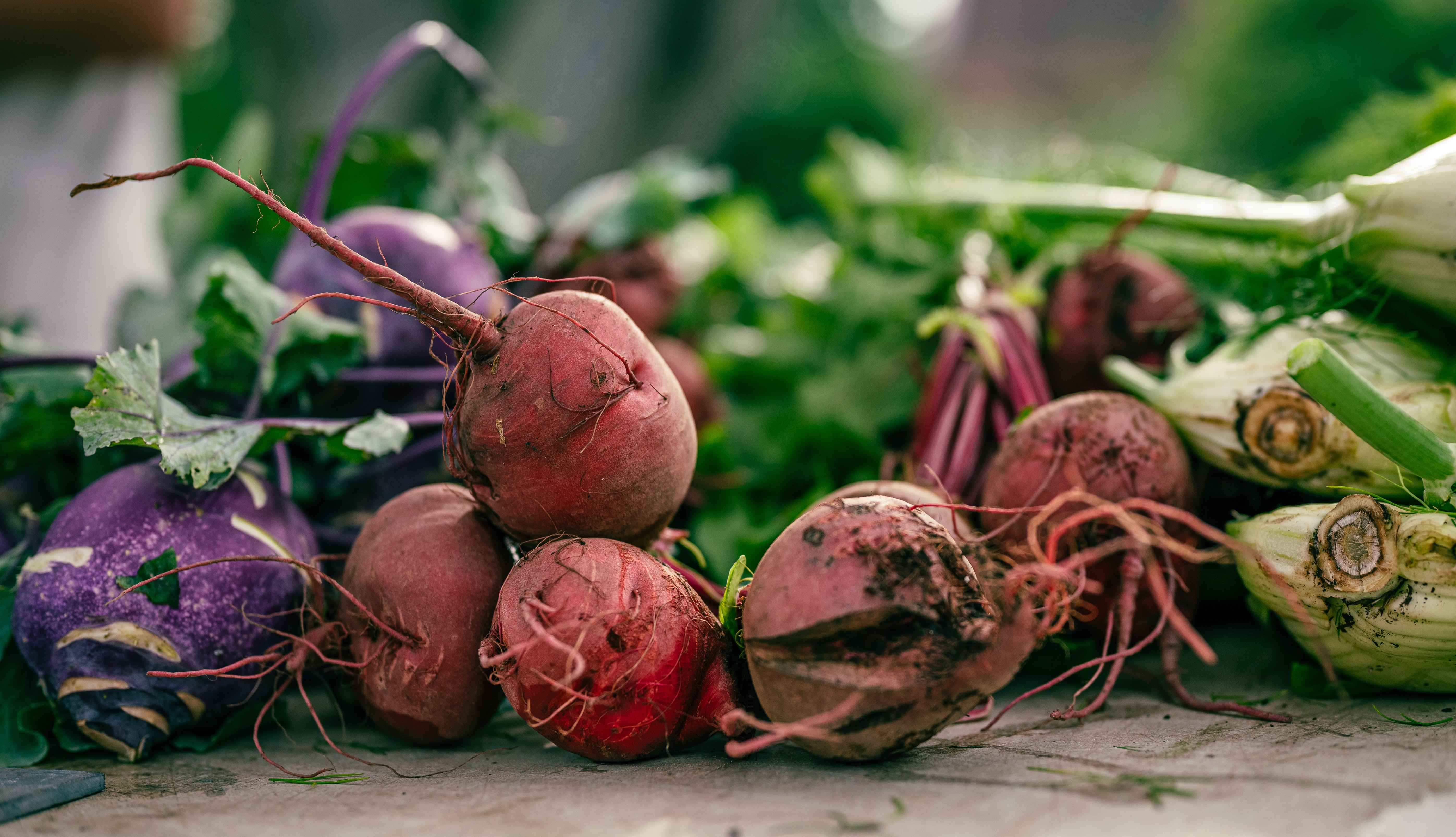 Fall Fruits and Vegetables Guide for Wholesale Distributors
