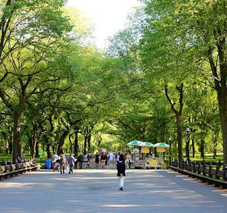 Central Park Walking Tour- By Foot or Bike's gallery image