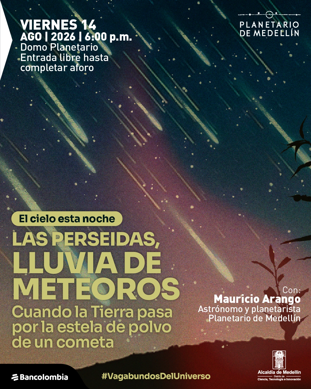 Ilustración de un cielo nocturno con múltiples trazos de meteoros cruzando en diagonal y siluetas de vegetación en la parte inferior. En la parte superior izquierda: «Viernes catorce de agosto de dos mil veintiséis a las seis de la tarde. Domo Planetario. Entrada libre hasta completar aforo». Al centro: «El cielo esta noche. Las perseidas, lluvia de meteoros». Debajo: «Cuando la Tierra pasa por la estela de polvo de un cometa». A la derecha: «Con: Mauricio Arango. Astrónomo y planetarista». En la parte inferior: «Vagabundos del universo».