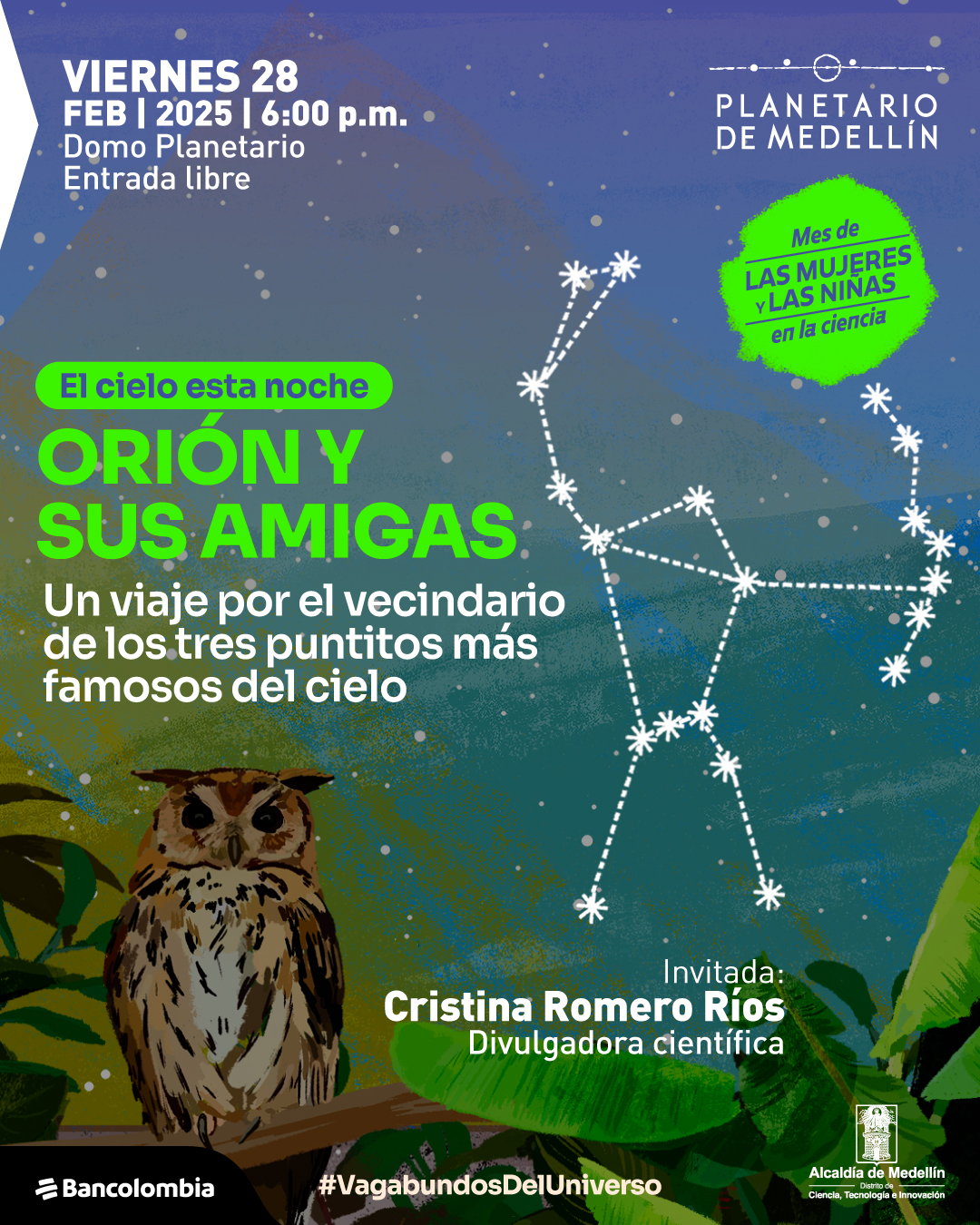 Ilustración. En la parte inferior de la imagen aparece un búho de frente y de cuerpo completo sobre una baranda de madera, al lado varias hojas. Al fondo, un cielo estrellado con el asterismo de la constelación de Orión. Líneas que conectan estrellas formando figuras. En la parte superior, el texto «Viernes 28 de febrero de 2025 a las 6:00 p.m. Domo Planetario. Entrada libre». En el centro, el título «El cielo esta noche» y debajo «Orión y sus amigas: Un viaje por el vecindario de los tres puntitos más famosos del cielo». A la izquierda, se menciona a la invitada: «Cristina Romero Ríos, divulgadora científica».