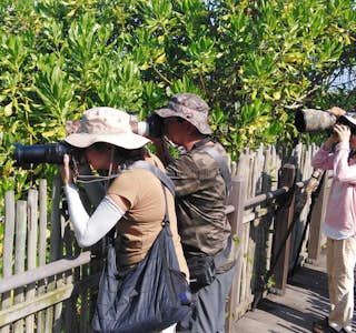 Visit Sungei Buloh, A Wetland Reserve's gallery image