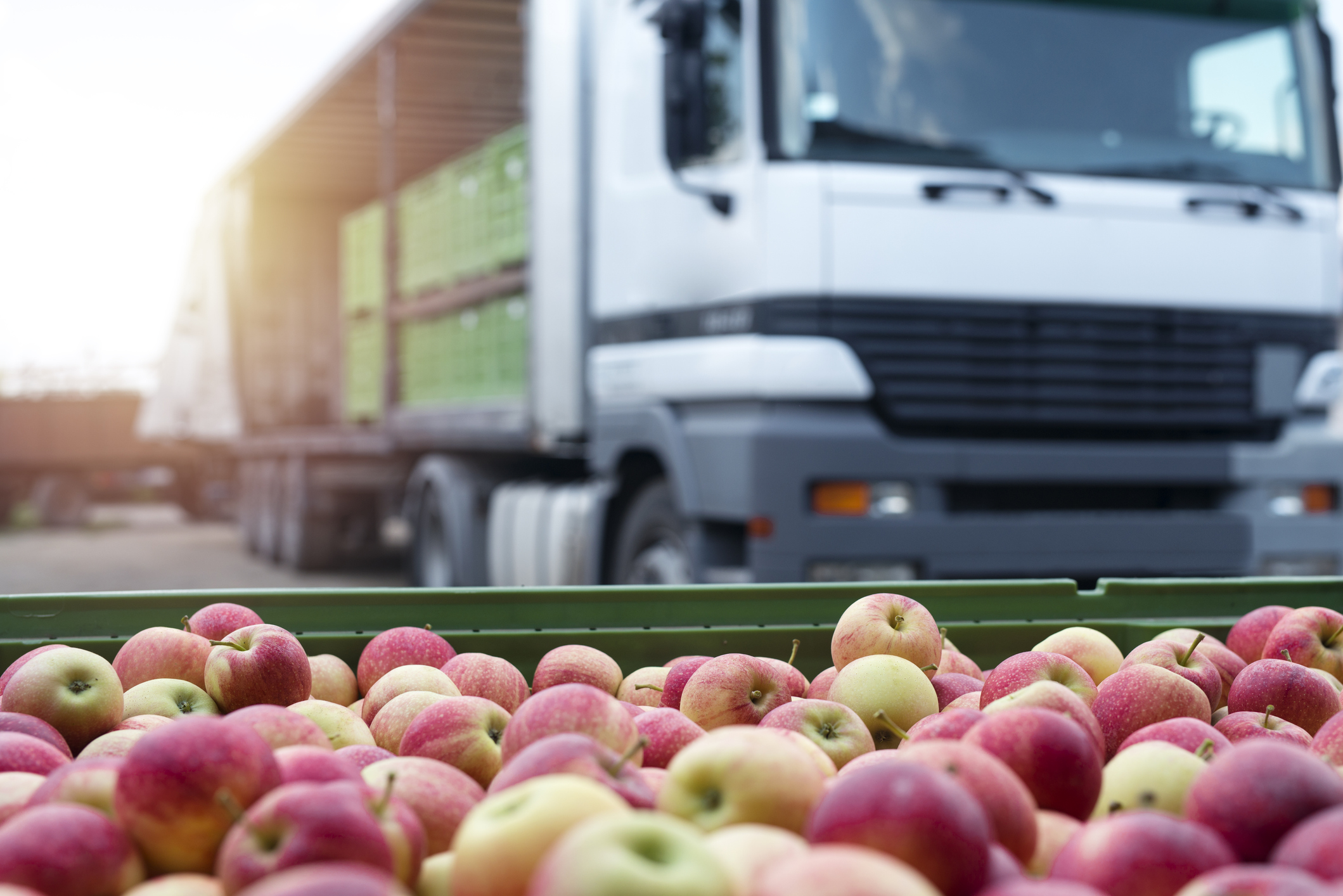 Dealing With Inflation in the Food Supply Chain