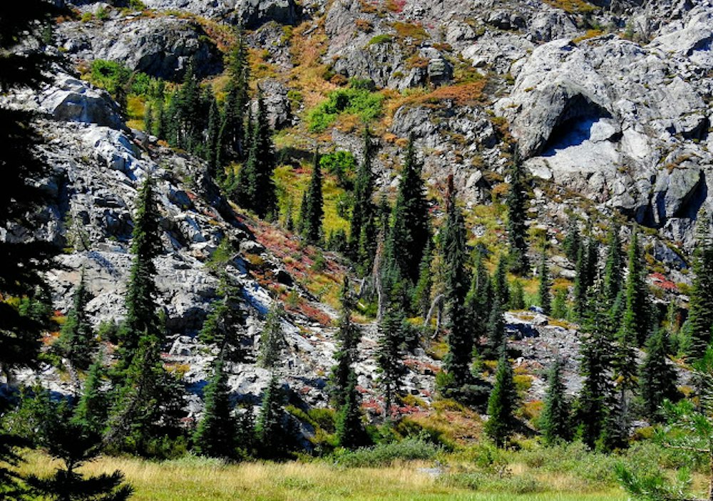 Katie's Sightings | The Mountain Messenger