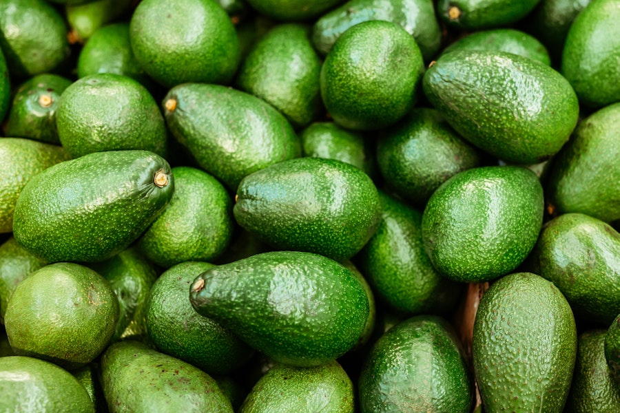 Avocado backdrop