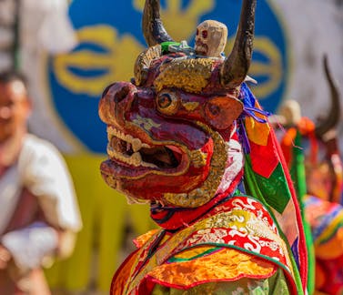 Festival Tours