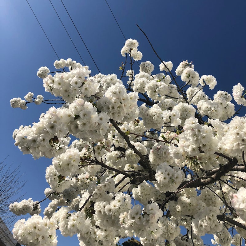 Let The Sunshine In: Poly-Ritmo