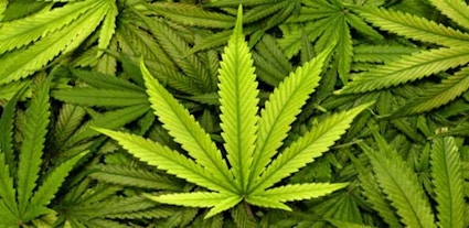 How Mary Jane Got Her Name