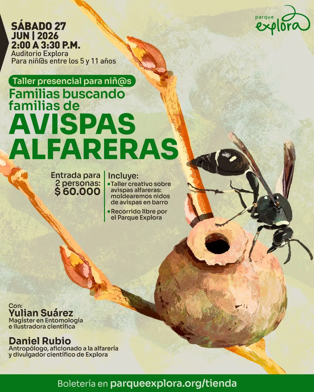Imagen. Ilustración de ramas con capullos y, en la parte derecha, una avispa negra posada junto a un nido de barro redondeado con una abertura circular. En la parte superior izquierda dice: «Sábado veintisiete de junio de dos mil veintiséis de dos de la tarde a tres y treinta de la tarde. Auditorio Explora. Para niñas entre los cinco y once años». Debajo, en una franja, se lee: «Taller presencial para niños». En el centro dice: «Familias buscando familias de avispas alfareras». Más abajo: «Entrada para dos personas: sesenta mil pesos». A la derecha: «Incluye: taller creativo sobre avispas alfareras: moldearemos nidos de avispas en barro. Recorrido libre por el Parque Explora». En la parte inferior izquierda dice: «Con: Yulian Suárez. Magíster en entomología e ilustradora científica. Daniel Rubio. Antropólogo, aficionado a la alfarería y divulgador científico». En la parte inferior se lee: «Boletería en parqueexplora.org/tienda».