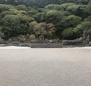 Cherry Blossoms and Zen Garden Immersion's gallery image