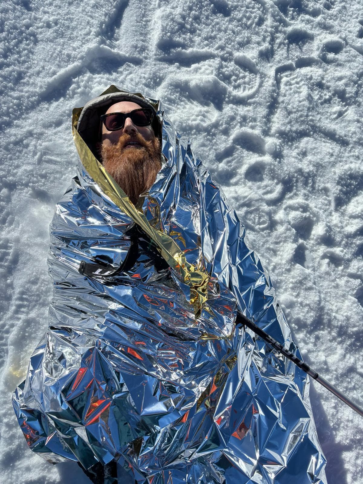 WOH Radio: Radio Alhara w/ Amjad & The Teddybears Picnic