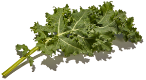 Kale