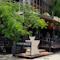 Enjoy a minimalistic approach to gardening and landscape in Porfirio's.