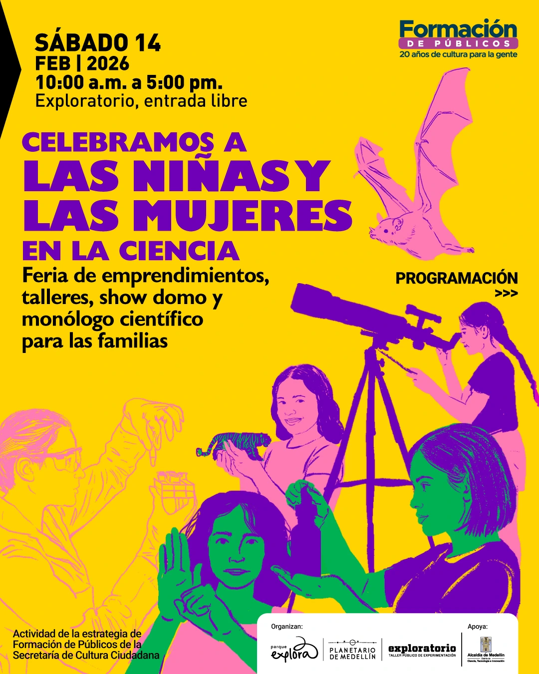 Ilustración. Sobre un fondo amarillo se presenta información general de un evento. En la parte superior izquierda se lee: Sábado catorce de febrero de dos mil veintiséis. Diez de la mañana a cinco de la tarde. Exploratorio, entrada libre. En el centro se destaca un texto grande que dice: Celebramos a las niñas y las mujeres en la ciencia. Debajo se lee: Feria de emprendimientos, talleres, show domo y monólogo científico para las familias. A la derecha aparece el texto: Programación. Se observan ilustraciones de niñas y mujeres realizando actividades científicas, un murciélago en vuelo y una niña usando un telescopio. En la parte inferior izquierda se lee: Actividad de la estrategia de Formación de Públicos de la Secretaría de Cultura Ciudadana.