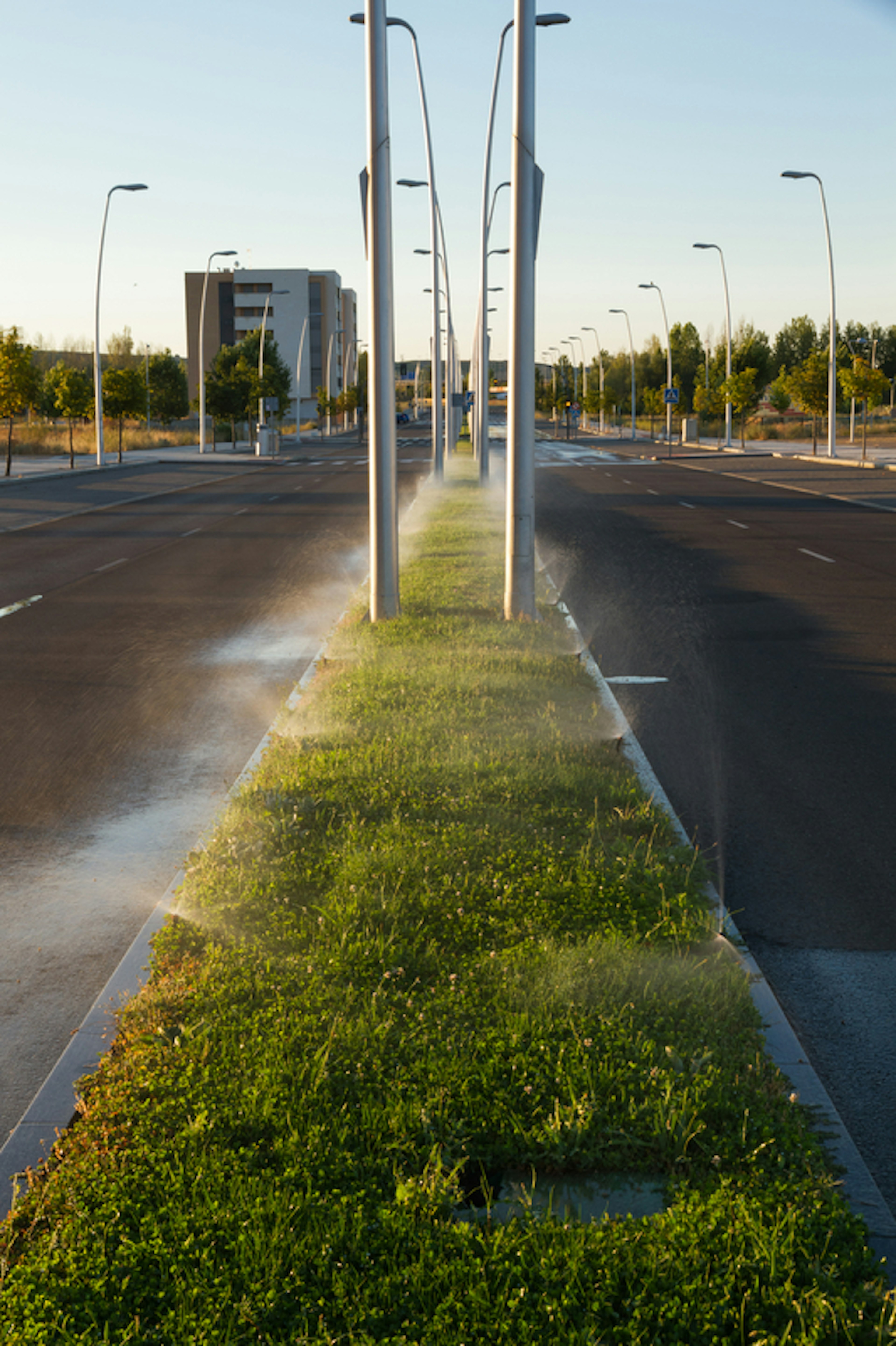 Non-Functional Turf Example photo, 1 of 2 photos