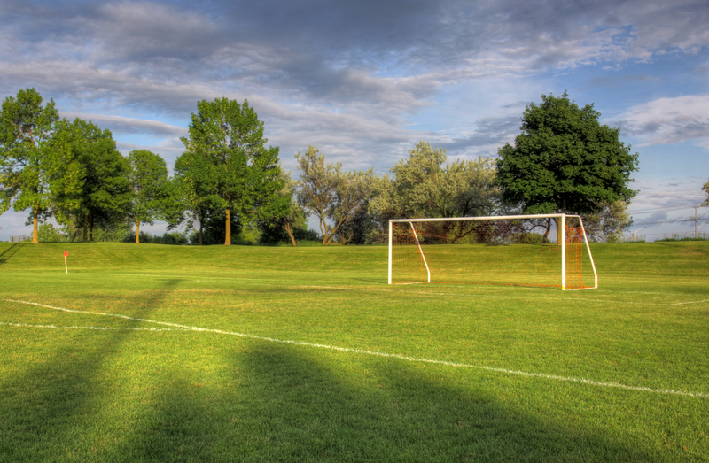 Functional Turf Example photo, 2 of 2 photos