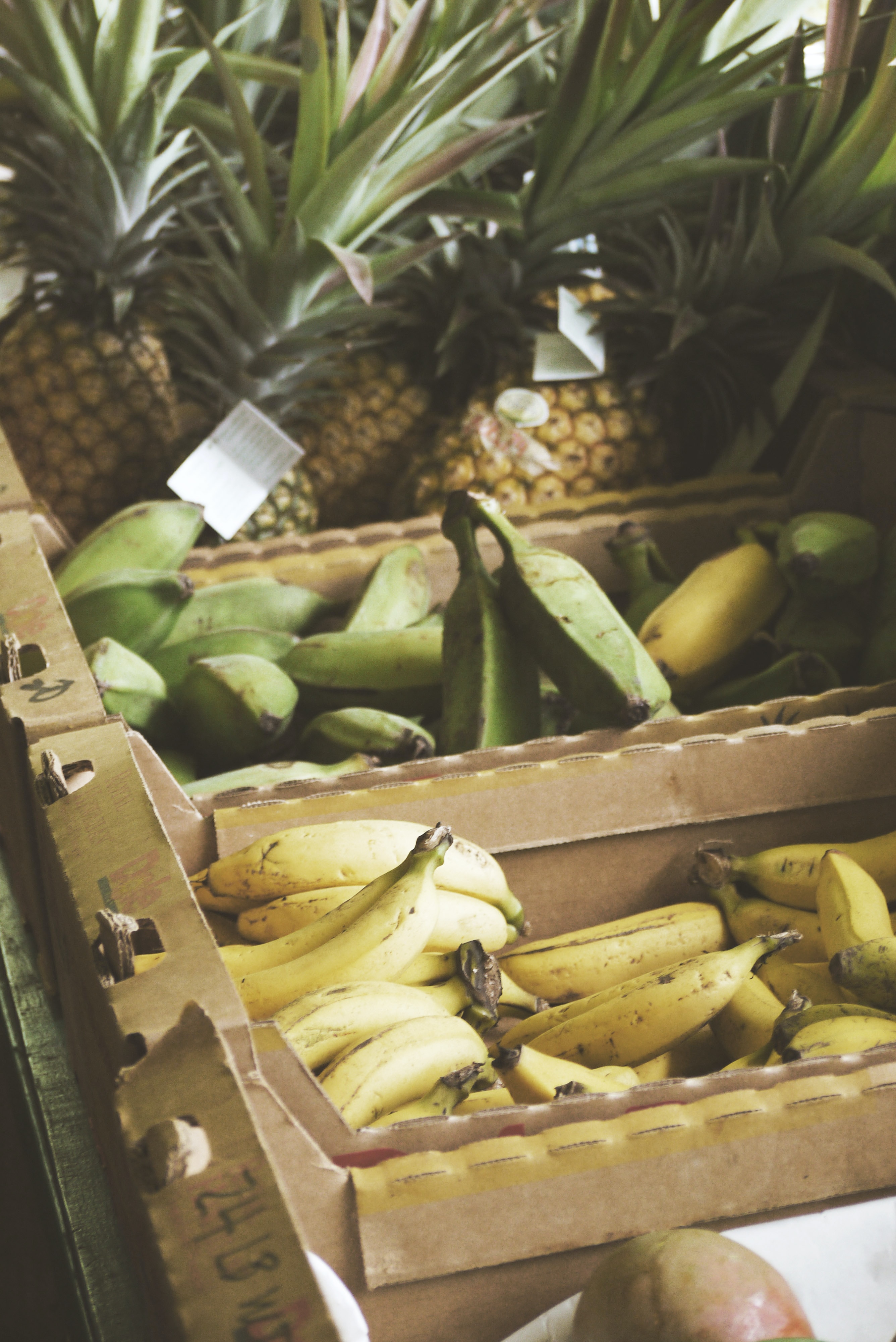 Why More Produce Shippers are Opting to Reuse Packaging