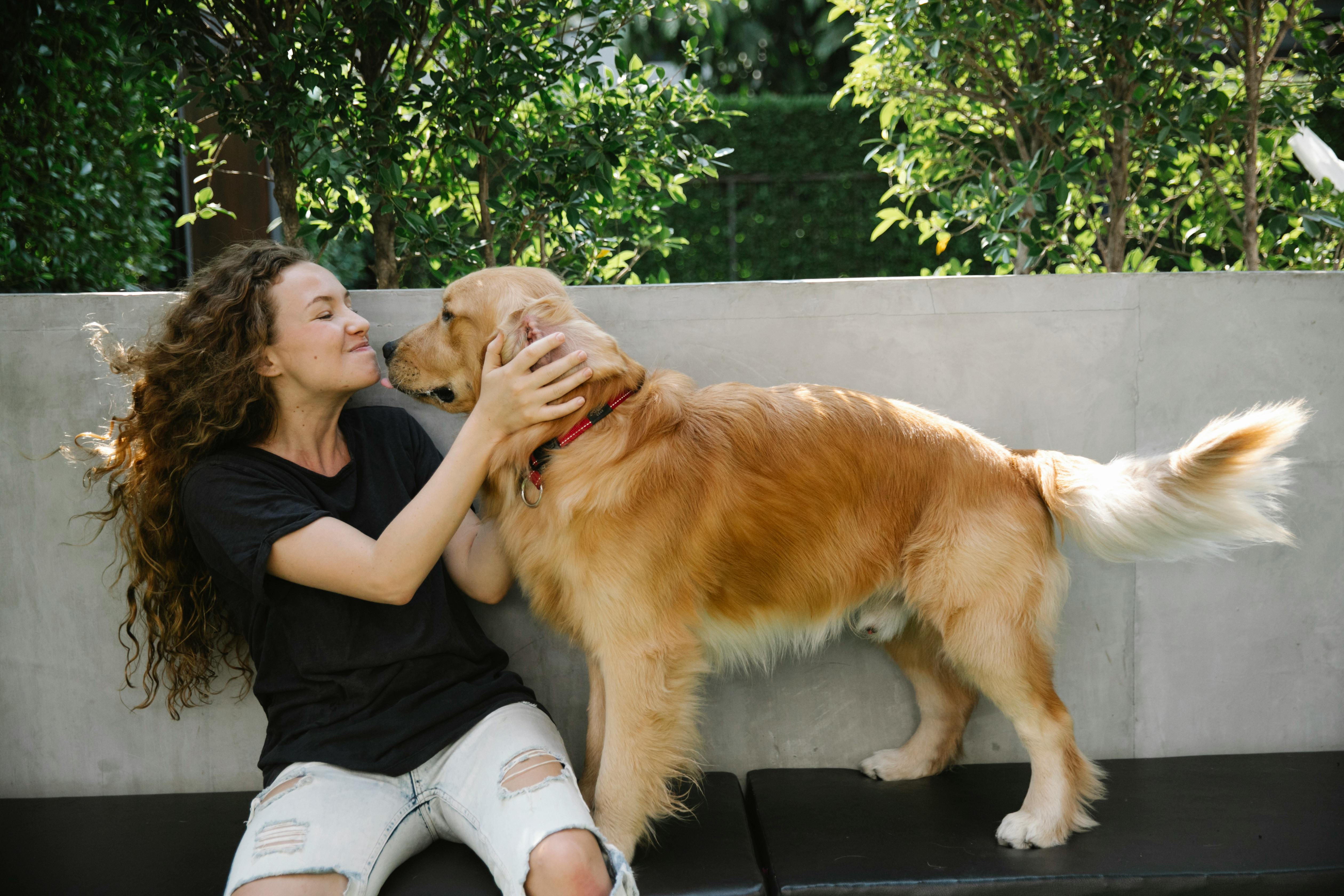 golden retriever with curly haired woman in the garden