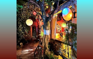 Emerging scene in La Veleta, Tulum