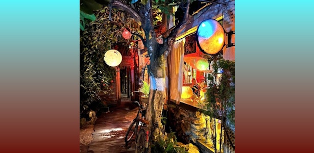 Emerging scene in La Veleta, Tulum