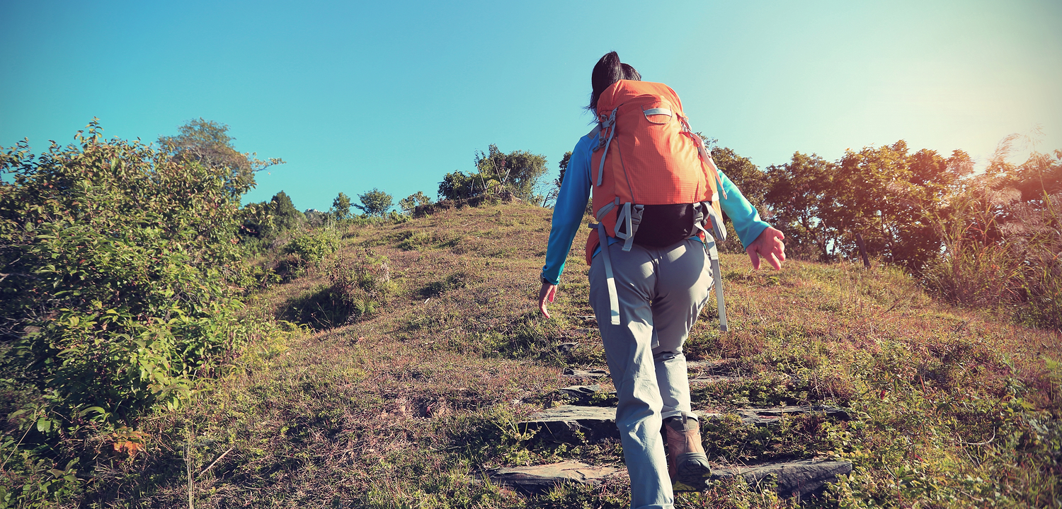 Madagascar Baobabs & Beyond - 11 Days