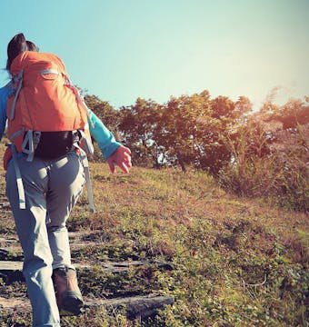 Madagascar Baobabs & Beyond - 11 Days