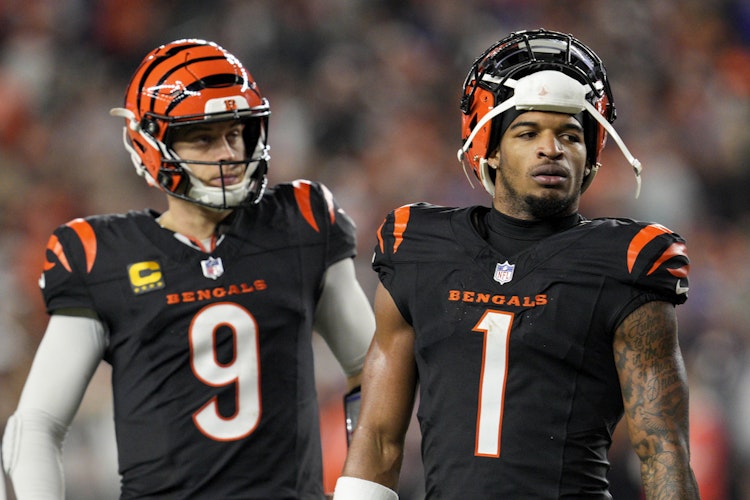 NFL, Fantasy Football, Player Projections, Player Props, PPR