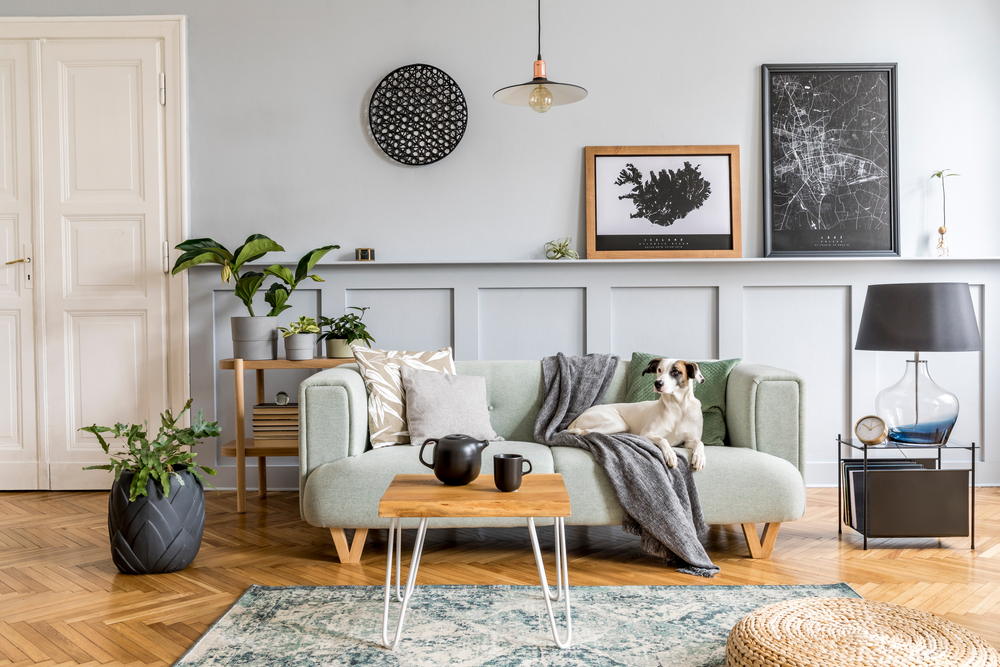 10 Home Decor Themes You’ll Love (And How to Pick One!) | Home Bay