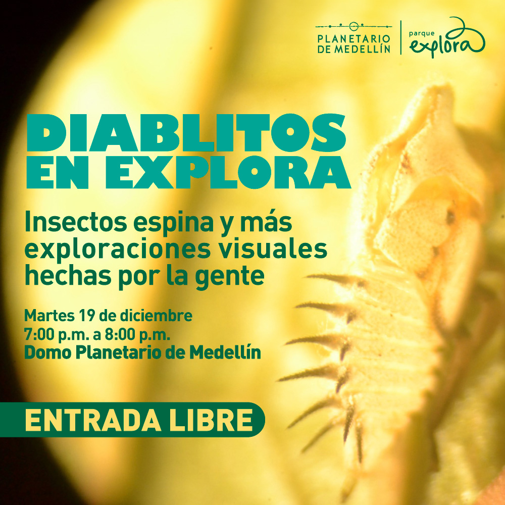 Fotografía. Insecto amarillo con una hilera de espinas en el dorso. Arriba texto que dice: "Diablitos en Explora. Insectos espina y otras exploraciones visuales hechas por la gente". Debajo otro texto dice: "Martes 19 de diciembre de 7 a ocho de la noche en el domo del Planetario de Medellín. Entrada libre".