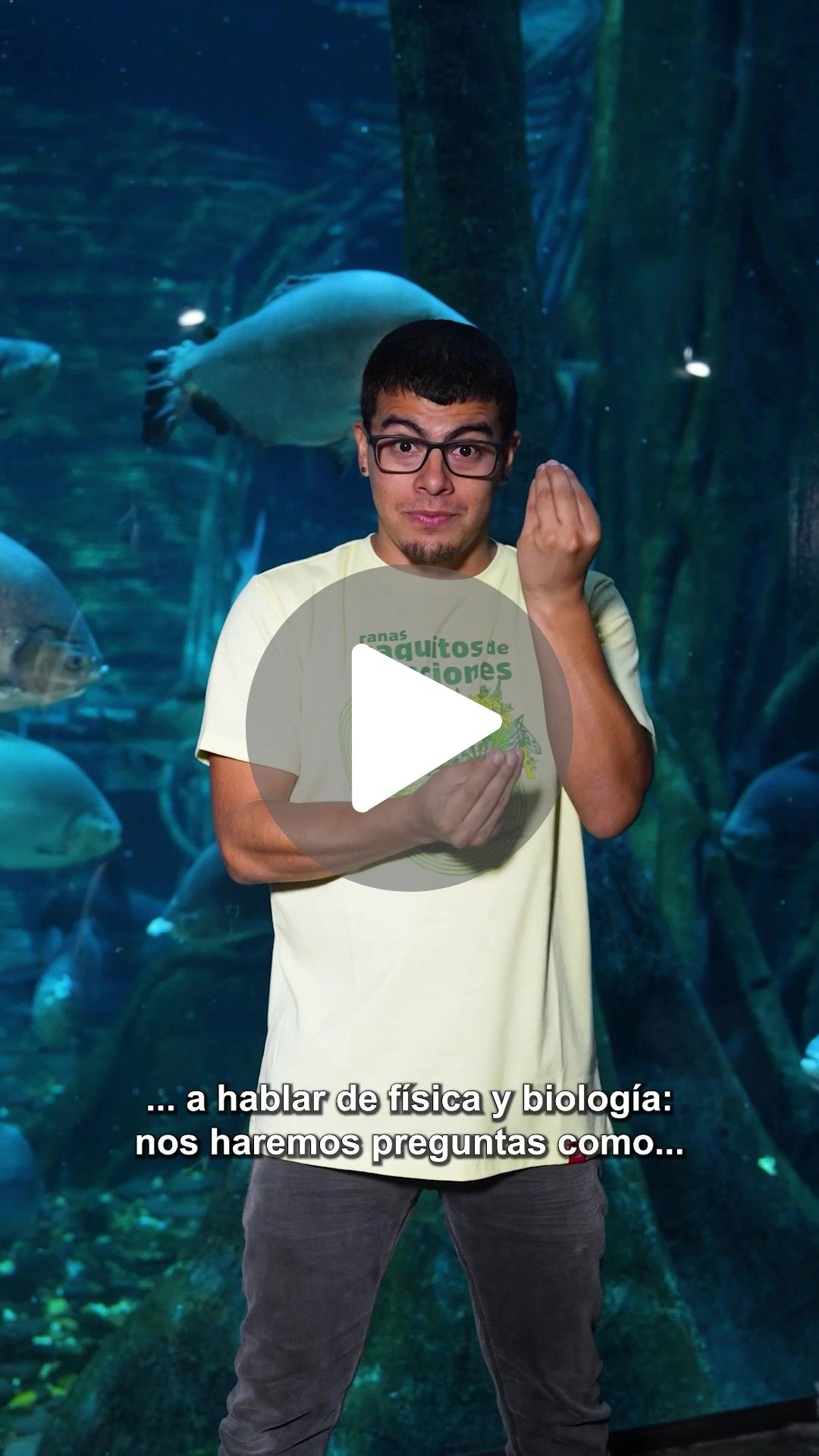 Video-recorrido-lengua-de-seas.webp