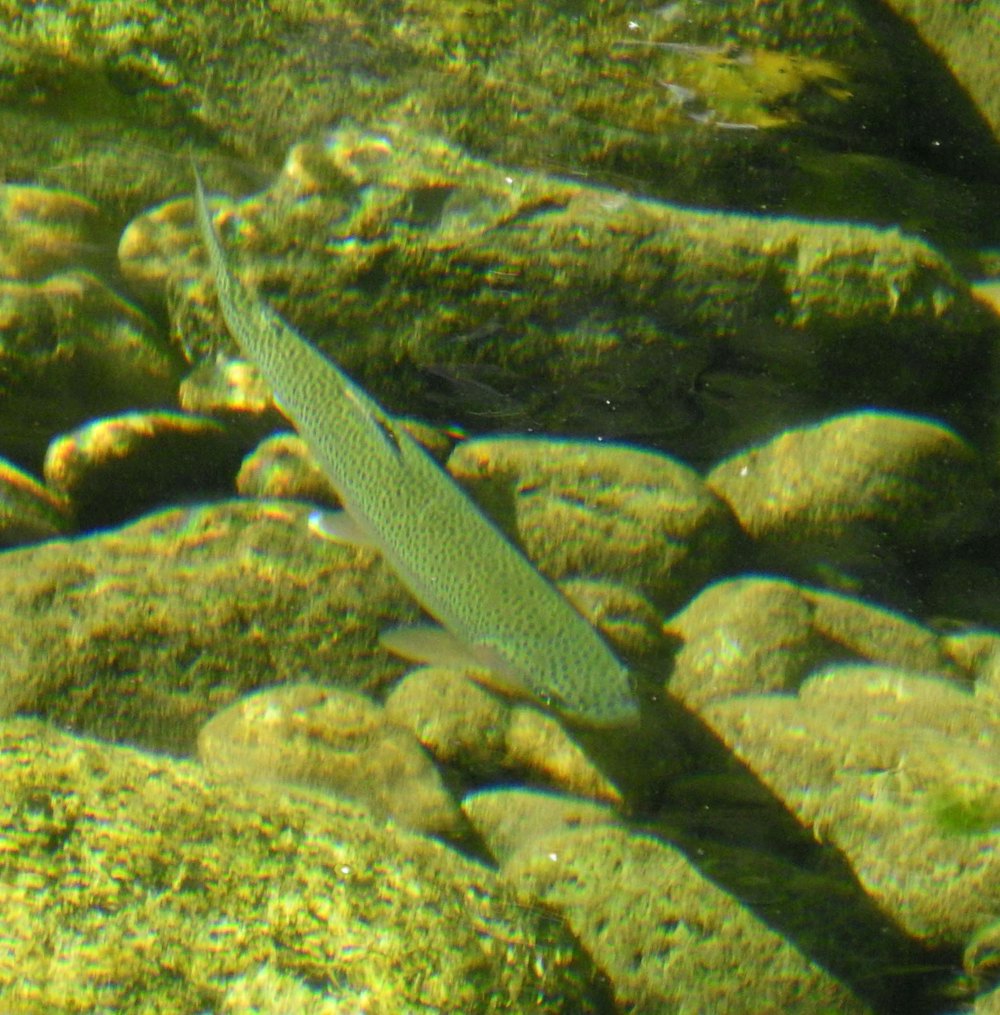 ks20231207_3.jpg
