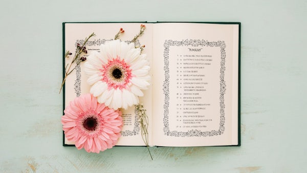 Projeto Gráfico | Anne de Green Gables