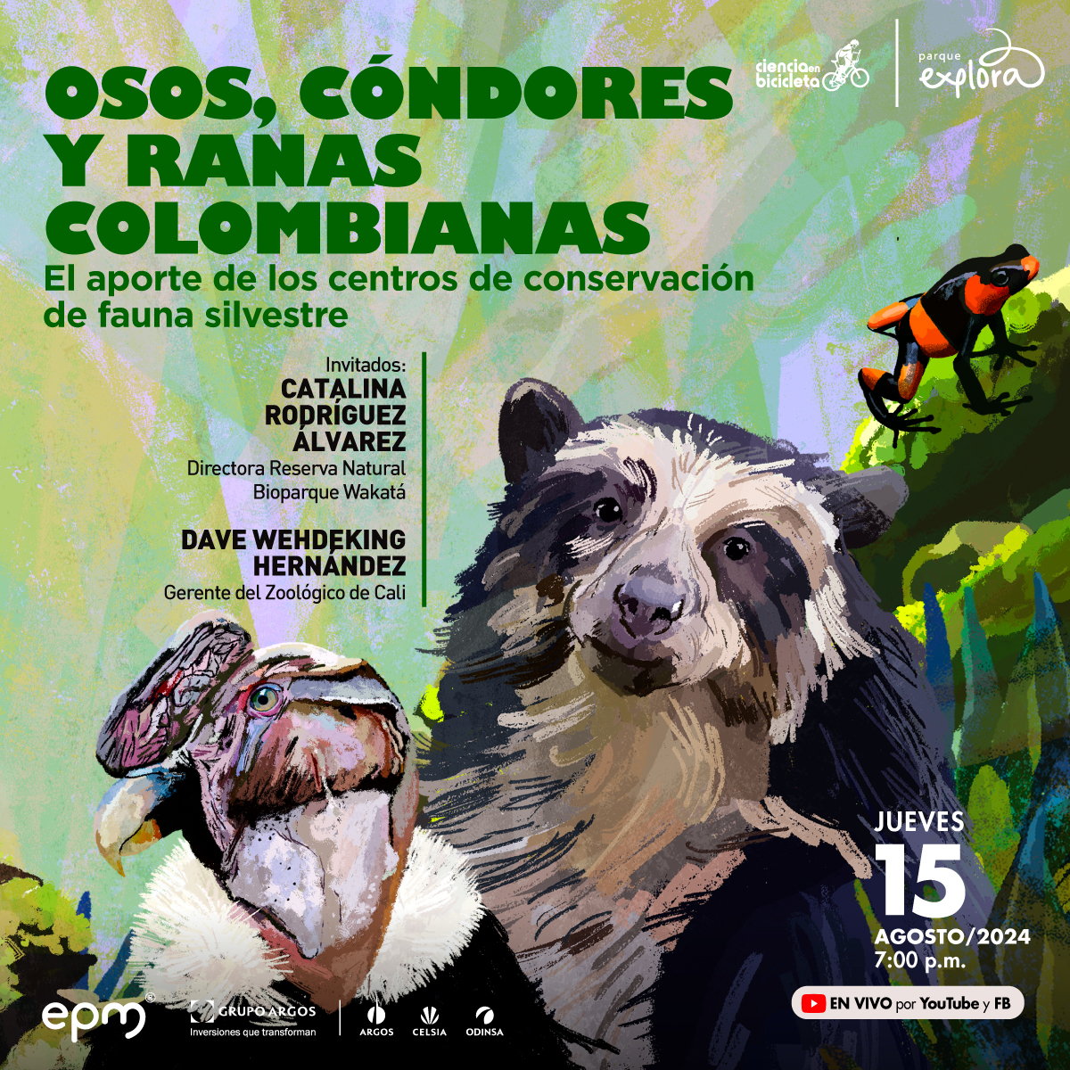 Ilustración. Sobre un fondo abstracto de colores verdes y violetas, se encuentran representados tres animales: un oso andino de pelaje gris con manchas oscuras alrededor de los ojos, un cóndor de los Andes con plumaje blanco y negro, y una rana de colores brillantes (negro y naranja) sobre una roca. En la parte superior, un texto dice: "Osos, cóndores y ranas colombianas. El aporte de los centros de conservación de fauna silvestre". A continuación, se presenta información de los invitados: "Catalina Rodríguez Álvarez, Directora Reserva Natural Bioparque Wakatá" y "Dave Wehdeking Hernández, Gerente del Zoológico de Cali". En la parte inferior derecha, se indica la fecha del evento: "Jueves 15 de agosto de 2024, 7:00 p.m." y se añade que se transmitirá en vivo por YouTube y Facebook.