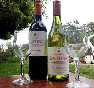 Wine Tasting for Dummies's gallery image