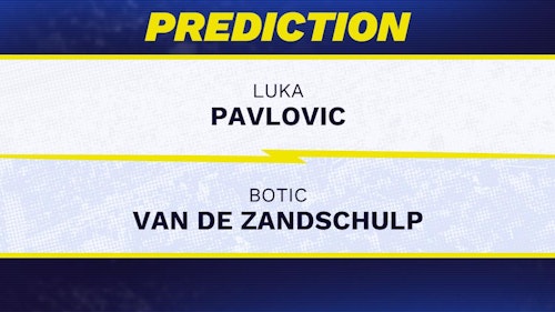 Luka Pavlovic vs. Botic Van de Zandschulp prediction, odds, picks for ATP Rotterdam Open 2026