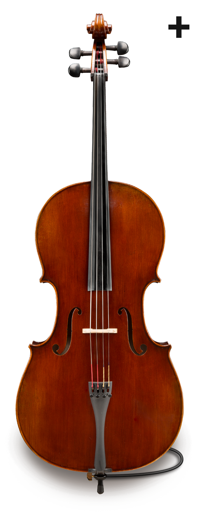 Eastman Cello Professional