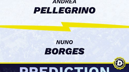 Andrea Pellegrino vs. Nuno Borges Prediction, Odds, Picks for ATP Swedish Open 2024