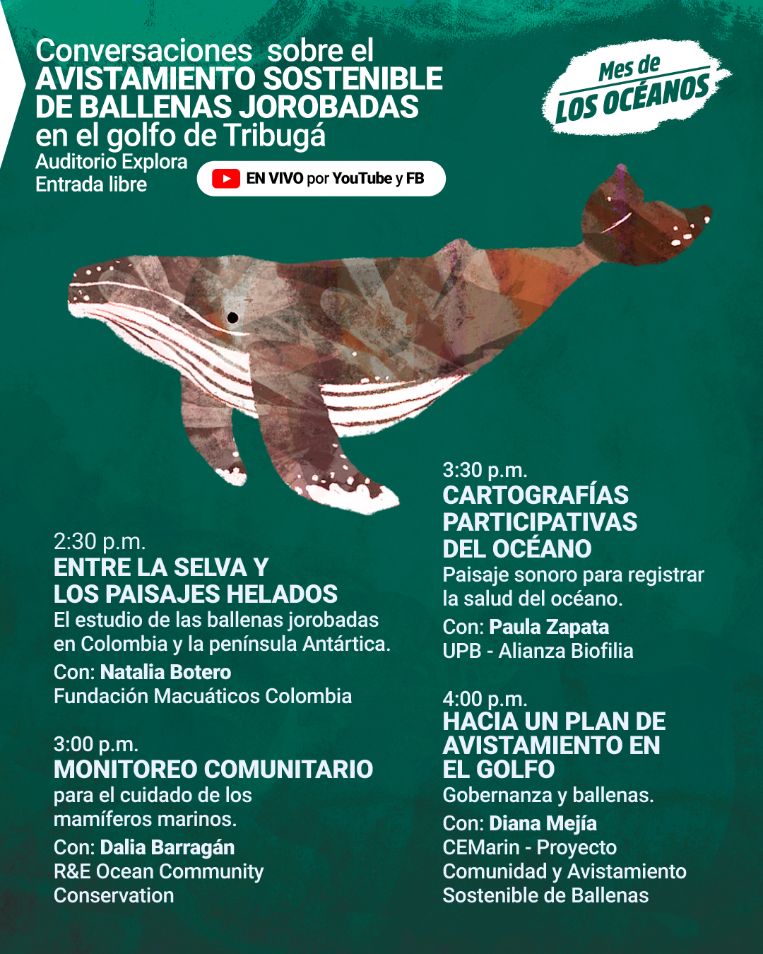 MaratonBallenas-InstaFace3.jpg