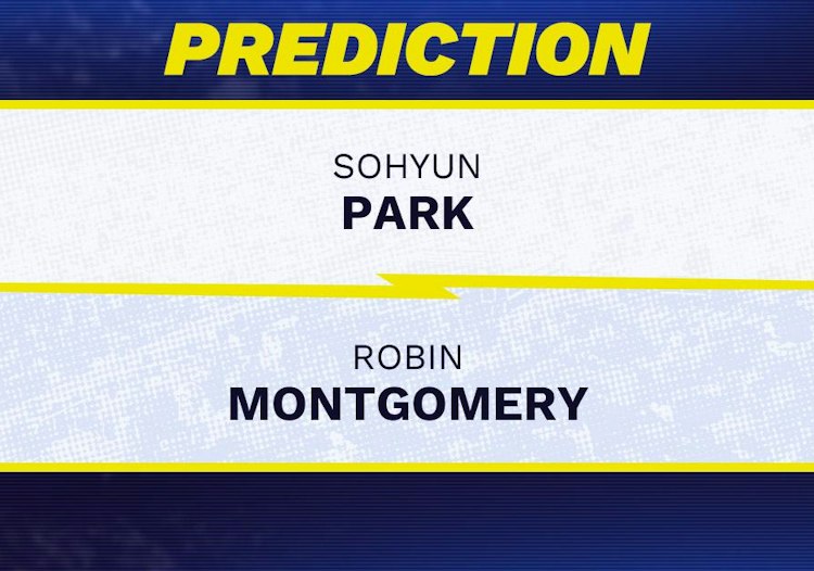 Sohyun Park takes on Robin Montgomery in WTA Seoul action.