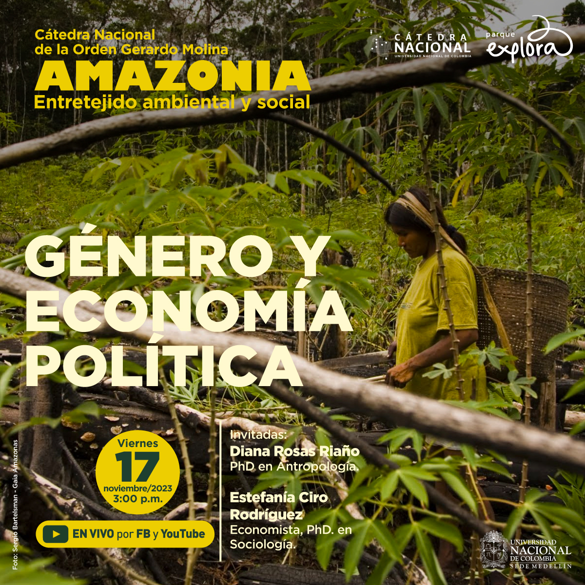 Fotografía. En el centro, una mujer vestida de amarillo lleva una canasta en la espalda, caminando entre las plantas verdes de un cultivo. En la parte izquierda un texto: "Cátedra Nacional de la Orden Gerardo Molina Amazonía, Entretejido ambiental y social, Género y economía política. Invitadas:  Diana Rosas Riaño, Phd en Antropología y Estefanía Ciro Rodríguez, economista, PhD. en Sociología. Viernes 17 de noviembre de 2023 3 de la tarde.  Transmisión por Facebook y YouTube Parque Explora"
