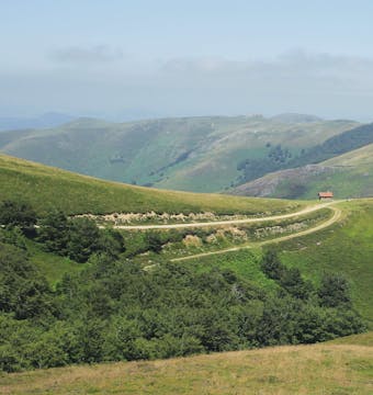The Camino de Santiago