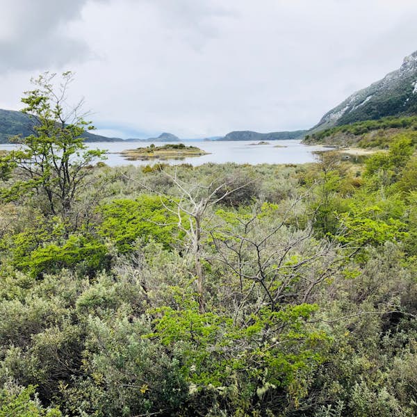 Tour to Tierra del Fuego National Park's main gallery image