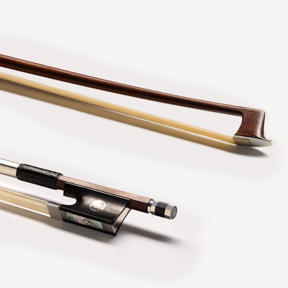 Eastman Master Series BL100 - selected view