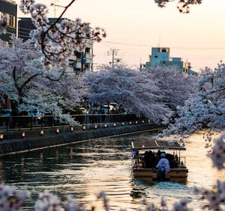 Plan for Japan Online Experience's gallery image