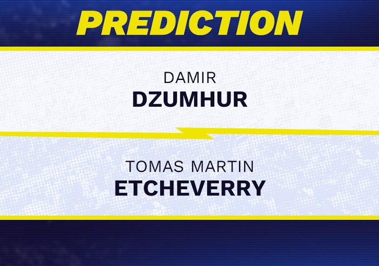 Damir Dzumhur vs Tomas Etcheverry Tennis Prediction.